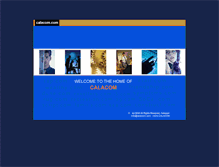 Tablet Screenshot of notorious.com